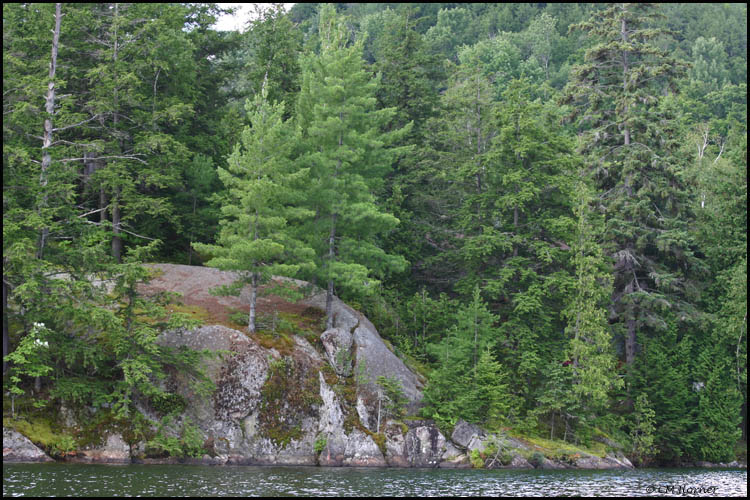 1721 Shoreline.jpg
