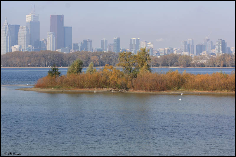 6192 Toronto Skyline.jpg