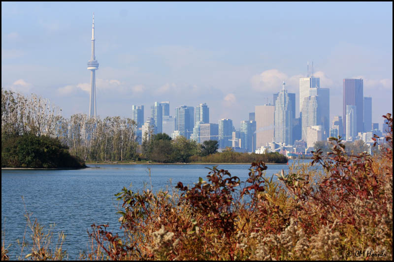 6207 Toronto Skyline.jpg
