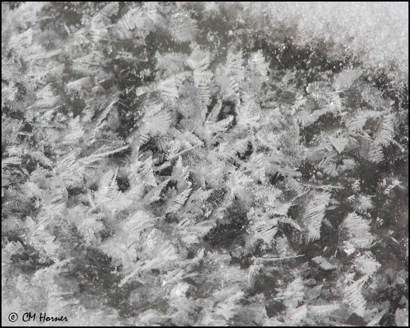 6619 Ice crystals.jpg
