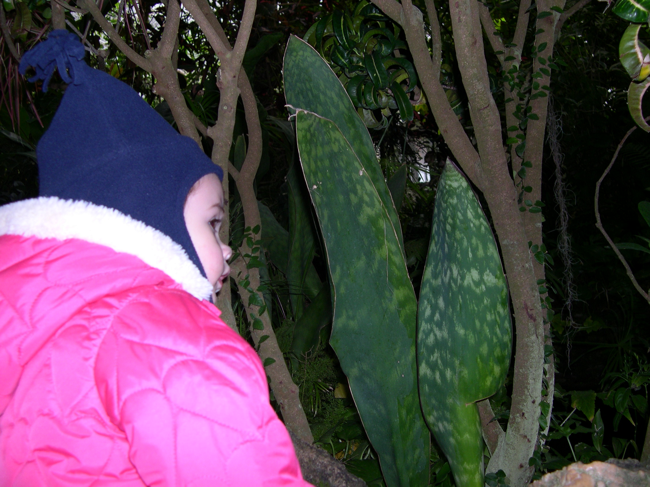 DSCN6036.JPG