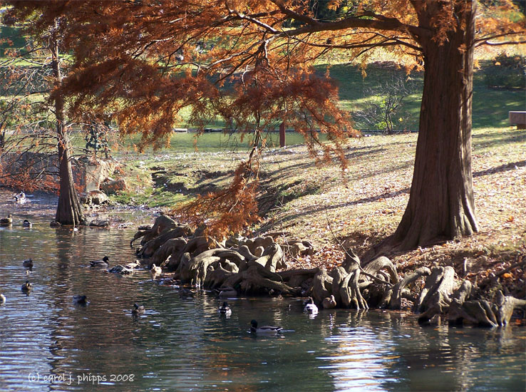 Cave Hill Lake.