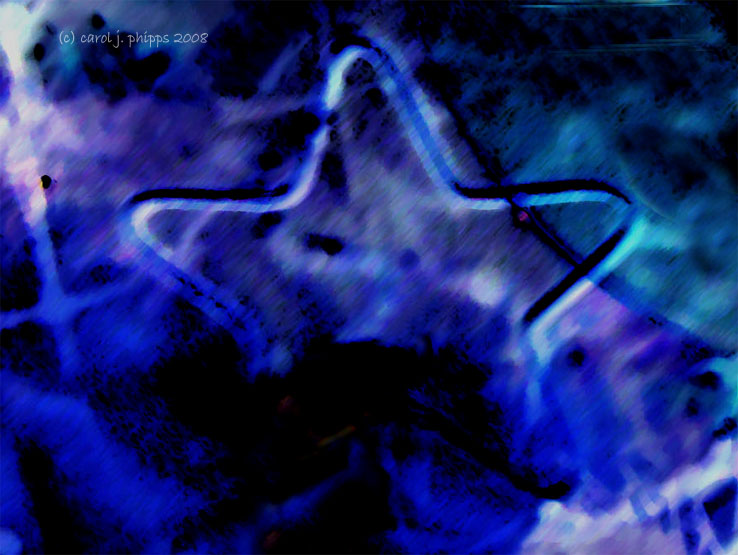 Star of Christmas!