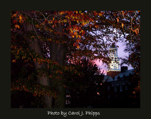 Sunset on the Beeches.JPG