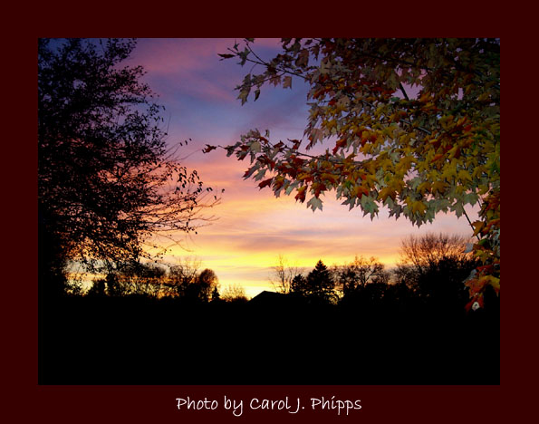 Fortunate Fall Setting Sun.JPG