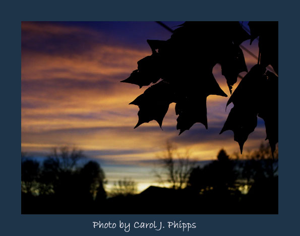 Fall Sunset