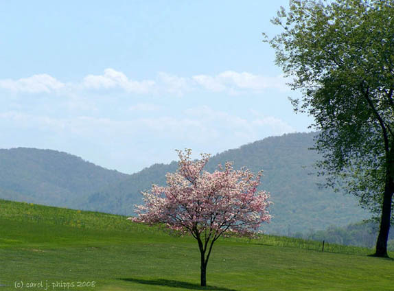 004 View near Heartland.jpg