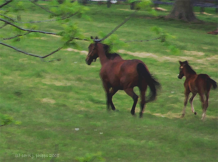 On the Run!