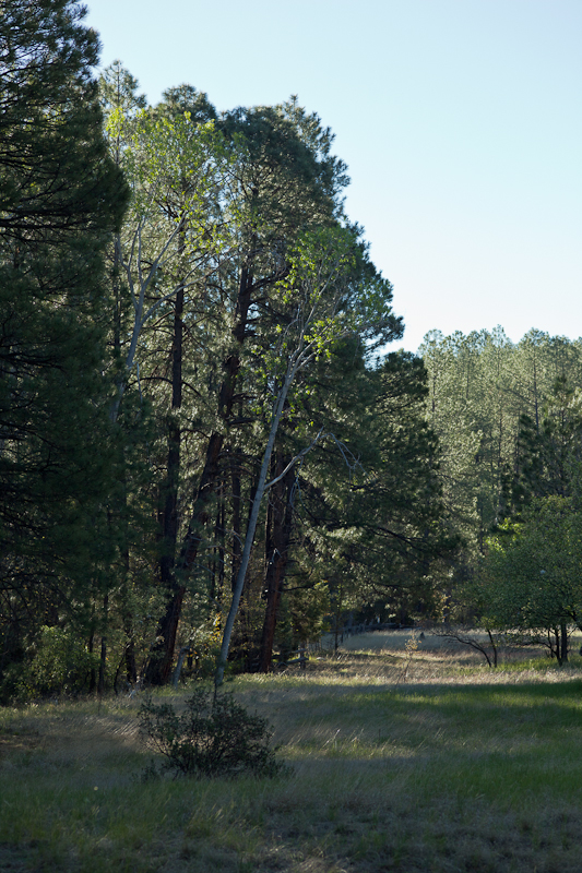 Reynolds Creek 2011-32.jpg