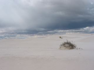 The Kaynan View from Inside Holly Go Litely at White Sands