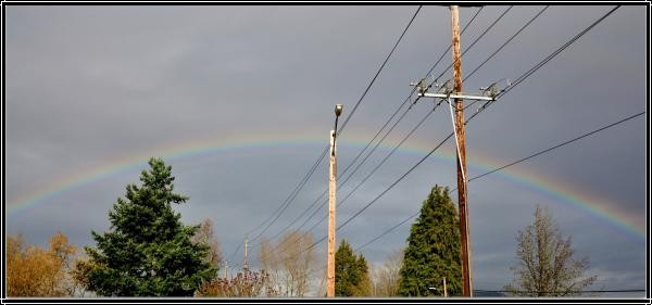 Rainbow-in-springfield