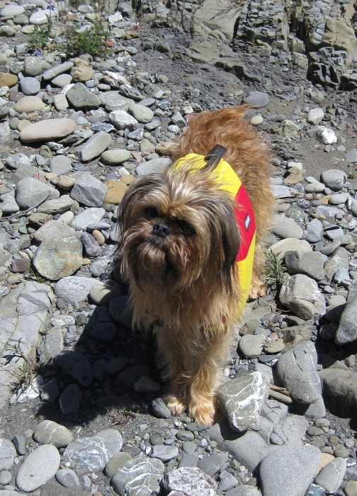 Chuckie of the Mountains has a Big Day