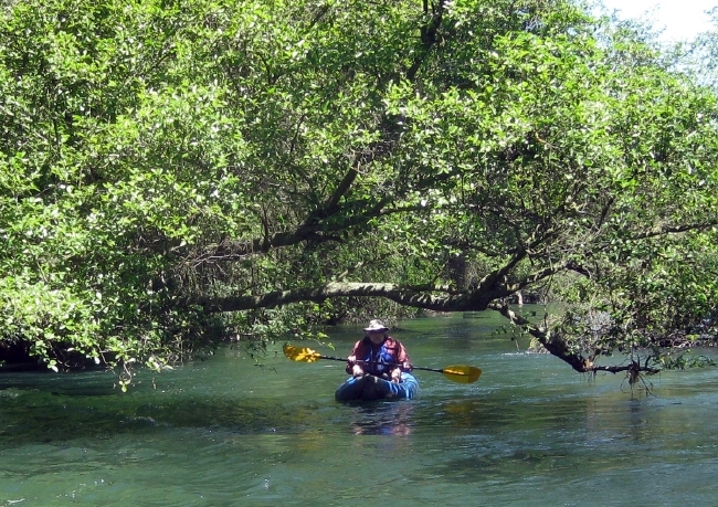Paul Eilers on the Mokelumne