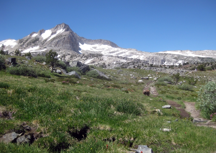 Entering the Twenty Lakes Area (Just Outside Yosemite)