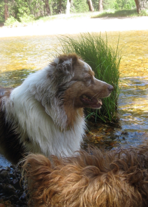 Skye Lea Enjoying a Summer Day