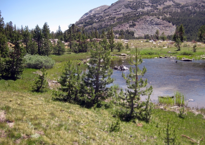 A Sight thats Available Near Tioga Pass for Just a Short Hike
