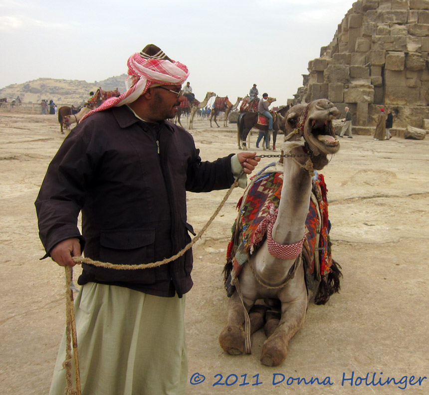 Mr.M and His Camel