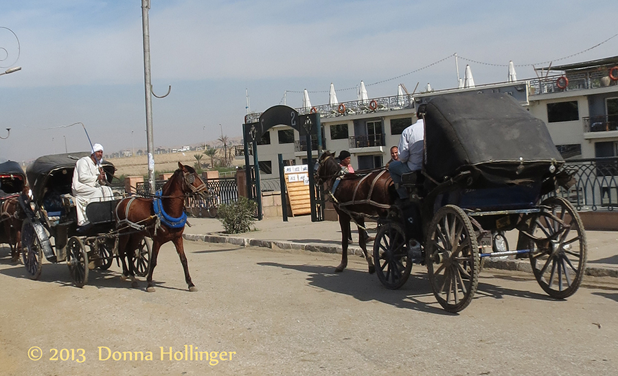 Travelling by Carriage in Egypt