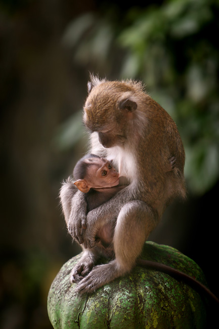 A Tender Moment