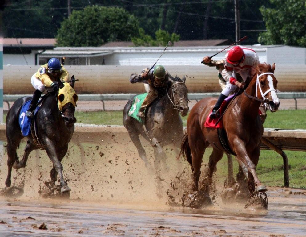 Horse Race.jpg