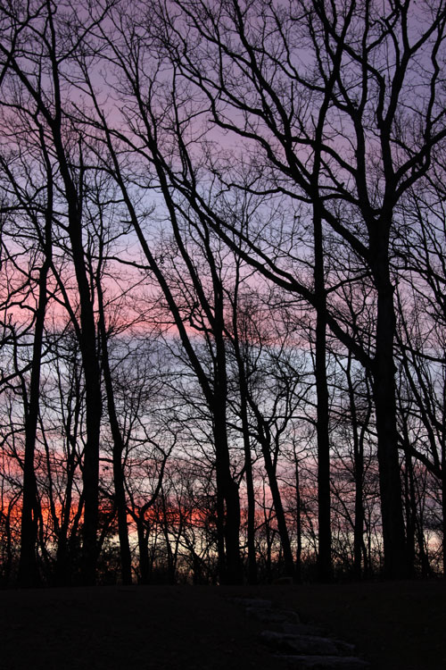 sunsets/silouette