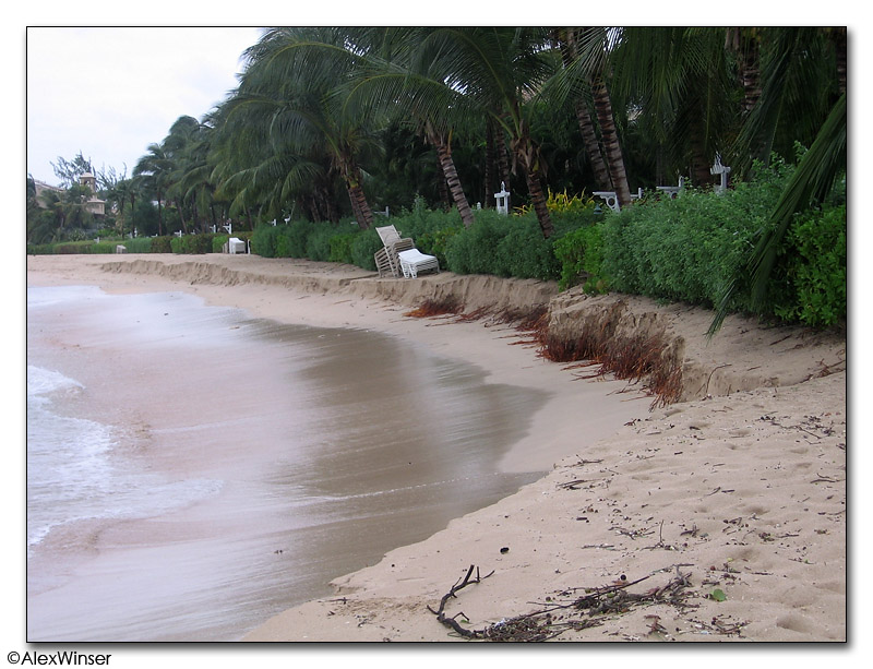 Post Hurricane Damage