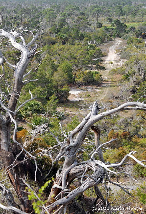 Jonathan Dickinson State Park