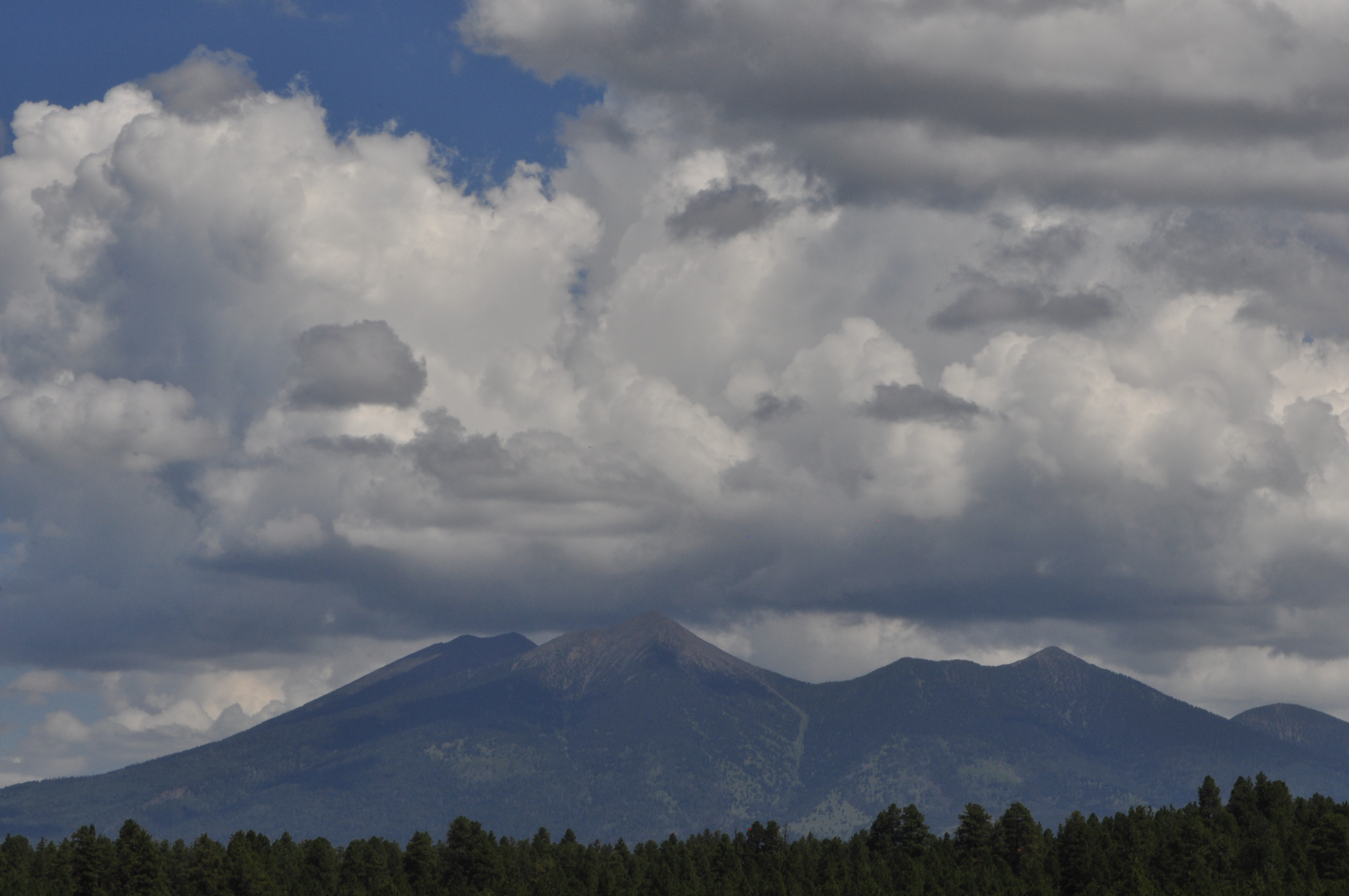 DSC_0273.JPG