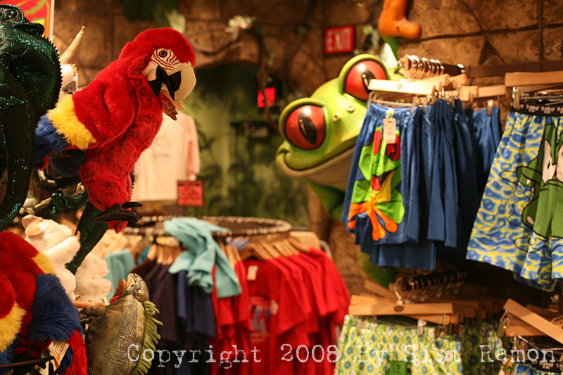 IMG_7874.jpg
