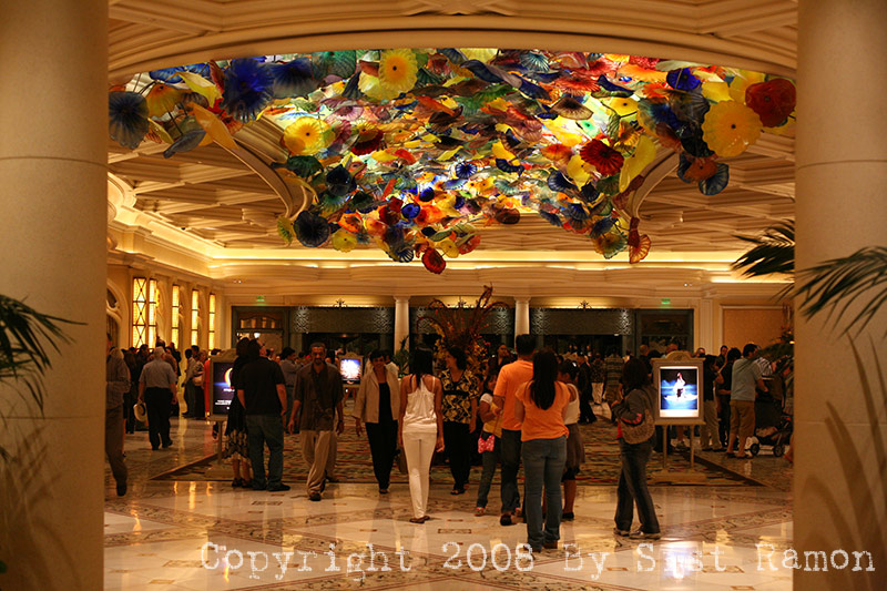 IMG_8021.jpg