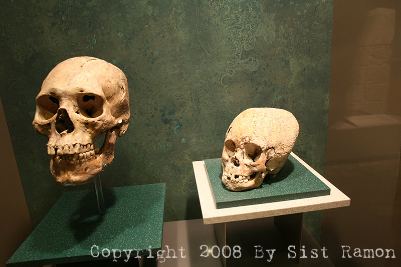 IMG_9663.jpg