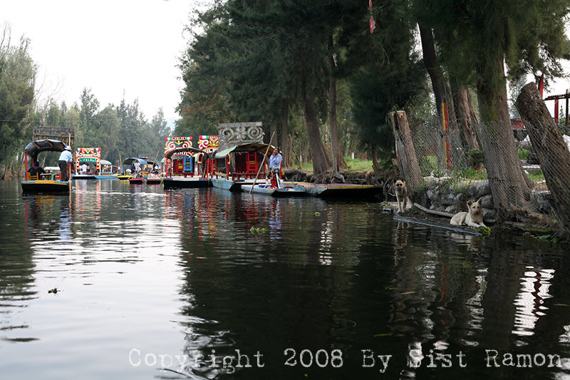 IMG_9834.jpg