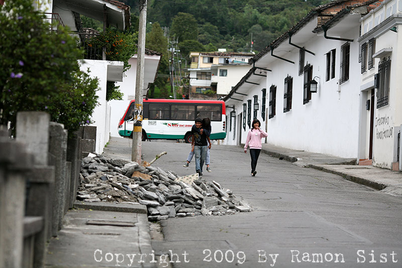 IMG_8950.jpg