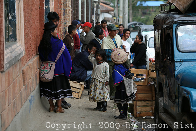 IMG_9126.jpg