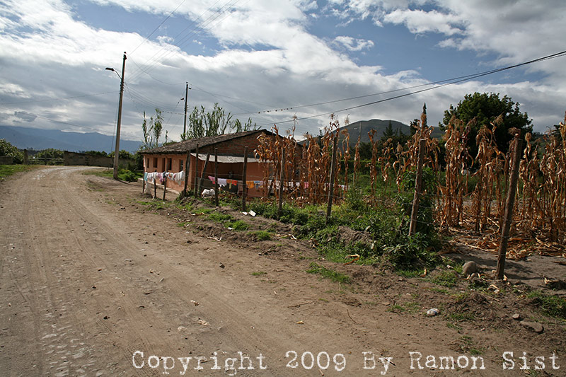 IMG_9445.jpg