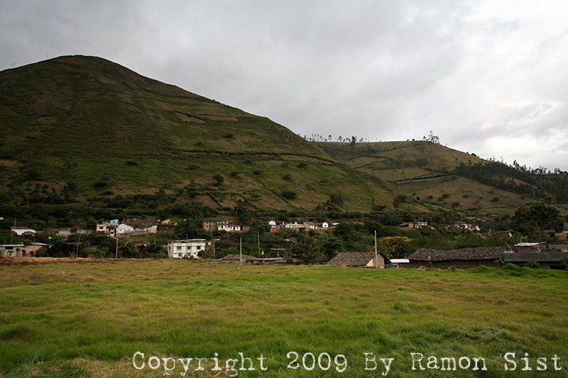 IMG_9483.jpg