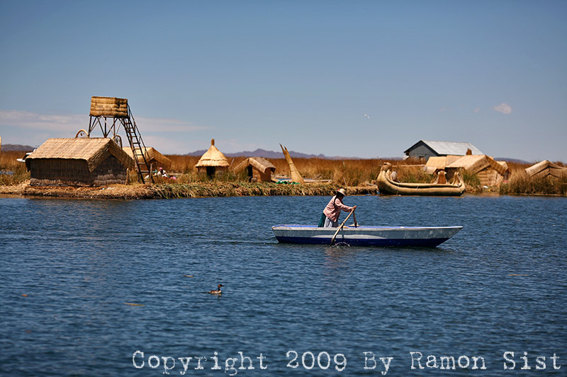 IMG_0917.jpg
