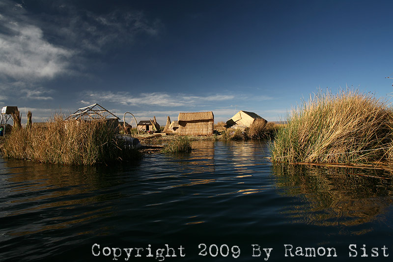 IMG_0964.jpg
