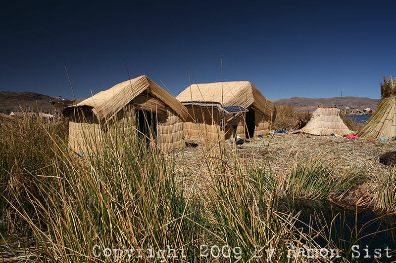 IMG_1049.jpg