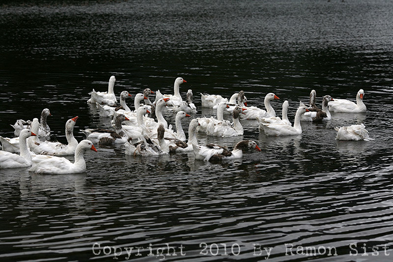 IMG_3821.jpg