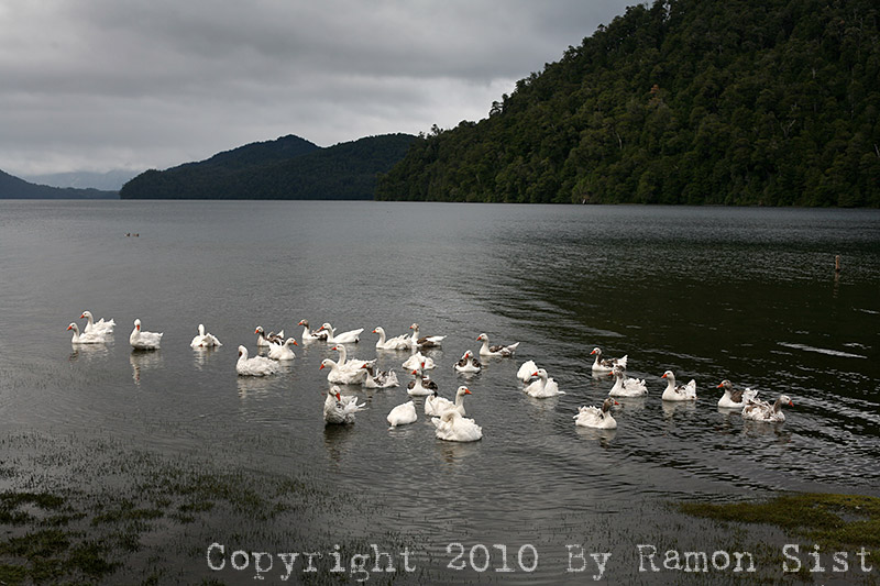 IMG_3828.jpg