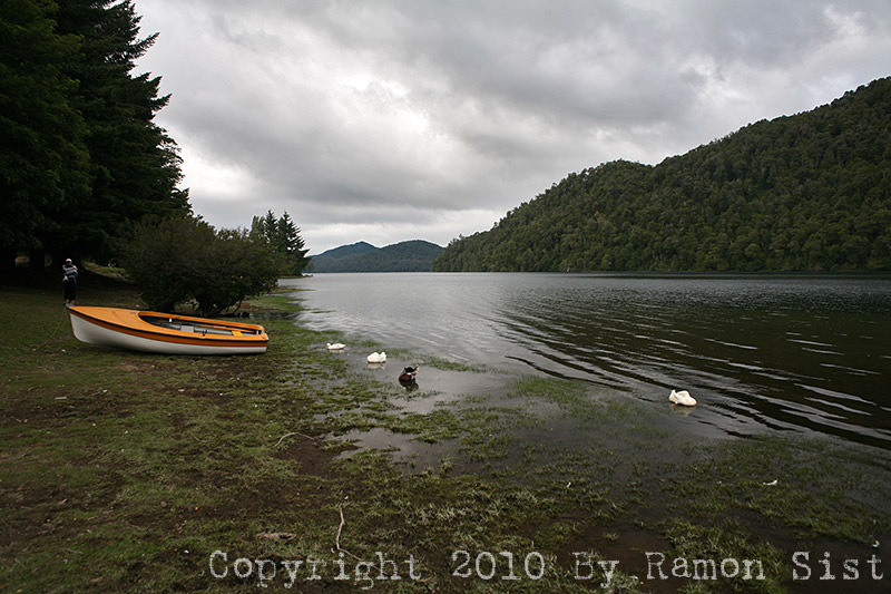 IMG_3839.jpg