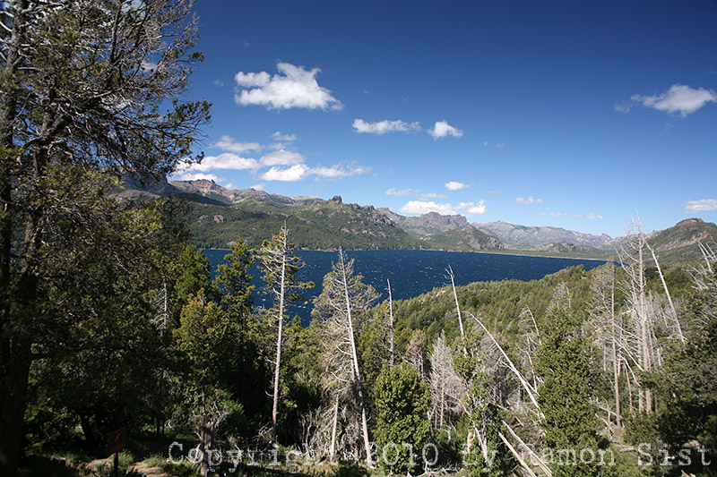IMG_3869.jpg