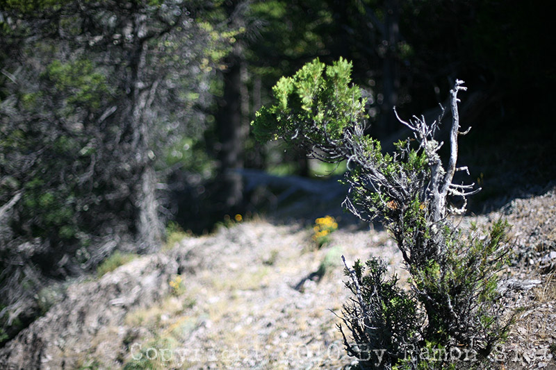 IMG_3877.jpg