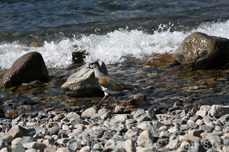 IMG_3900.jpg
