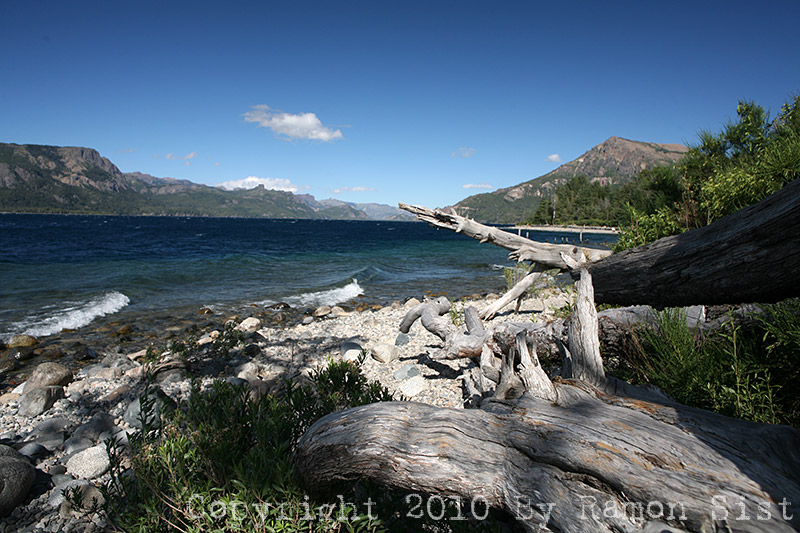 IMG_3913.jpg
