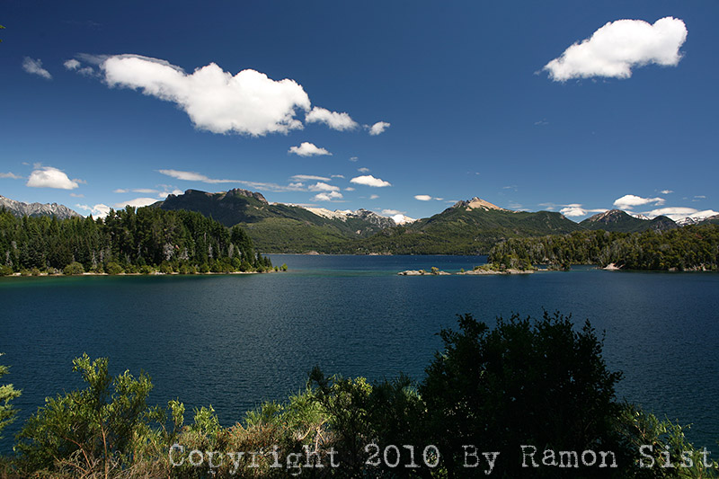 IMG_4011.jpg