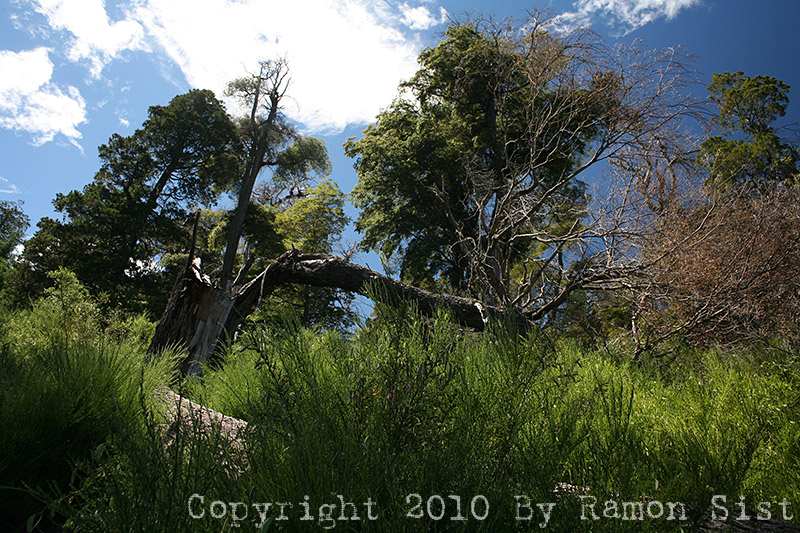 IMG_4015.jpg
