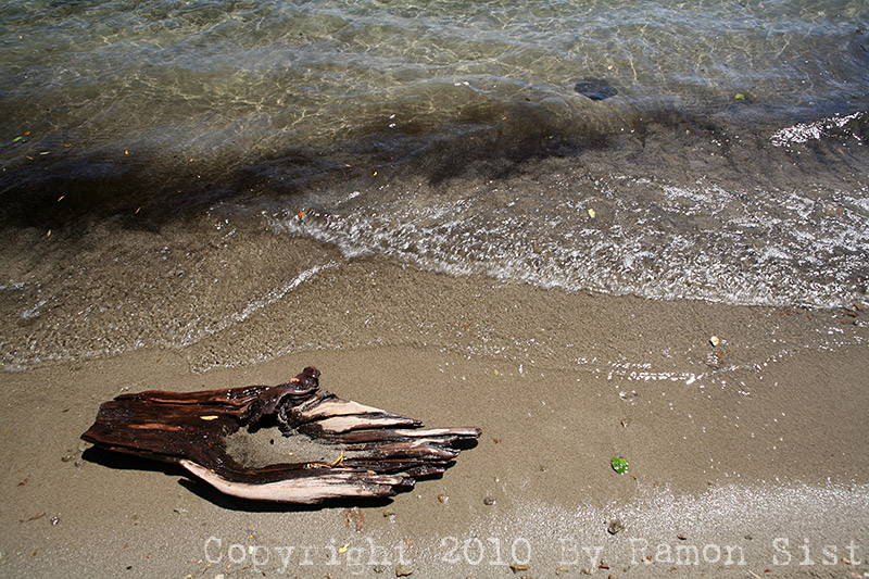 IMG_4025.jpg