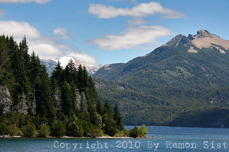 IMG_4030.jpg